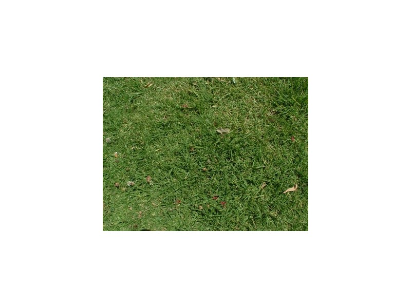 Lot 107 Pike Place, Kiama NSW 2533