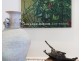 74 Bong Bong Street, Kiama NSW 2533