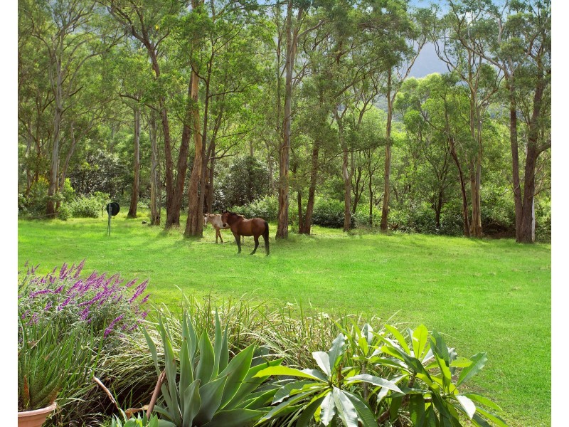 161 Avondale Colliery Road, Dapto NSW 2530