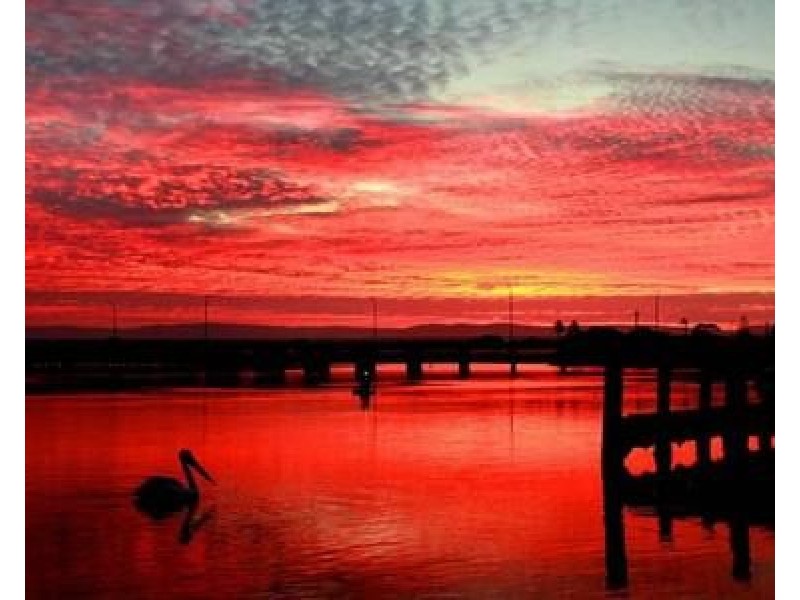 2/157 Reddall Parade, Lake Illawarra NSW 2528