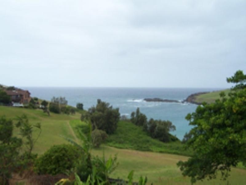 1/36 Kaleula Crescent, Kiama NSW 2533