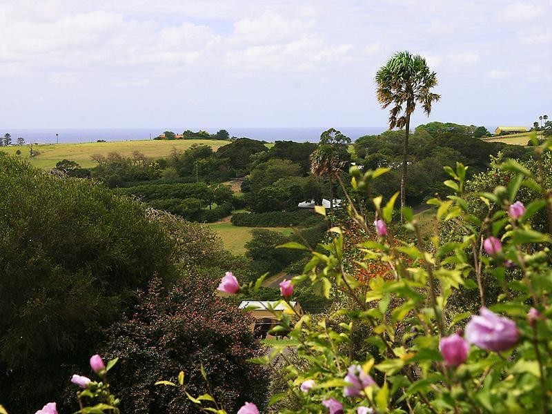 40 Halls Road, Kiama NSW 2533