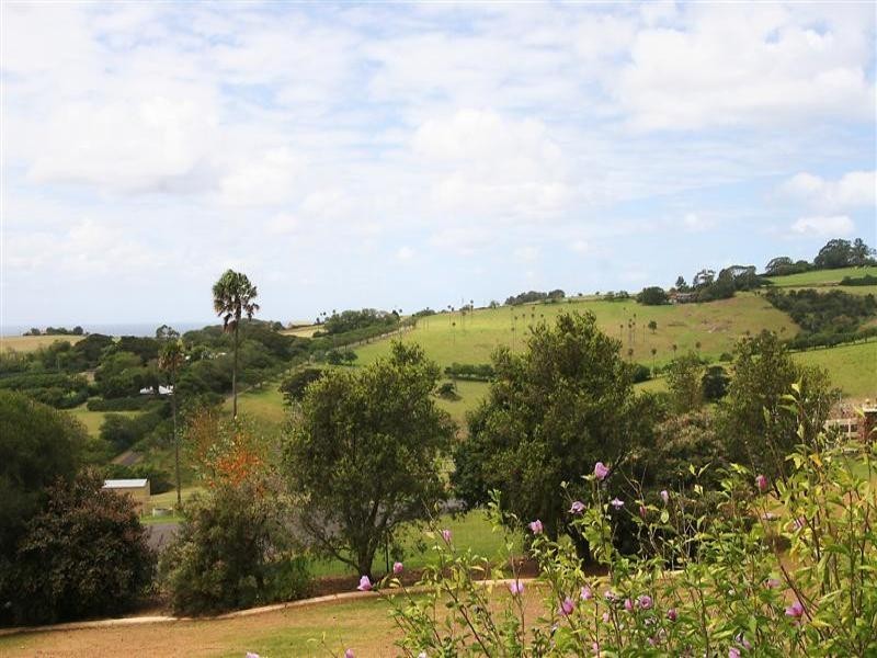 40 Halls Road, Kiama NSW 2533