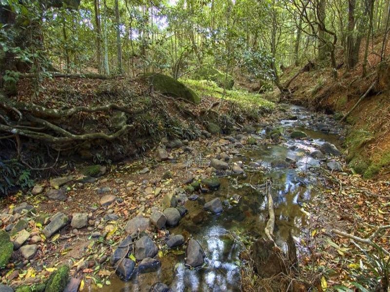 669 Jamberoo Mountain Road, Jamberoo NSW 2533