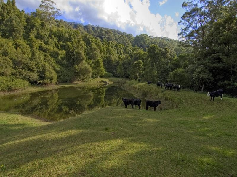 669 Jamberoo Mountain Road, Jamberoo NSW 2533
