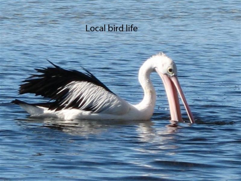 126 Charles Avenue, Minnamurra NSW 2533