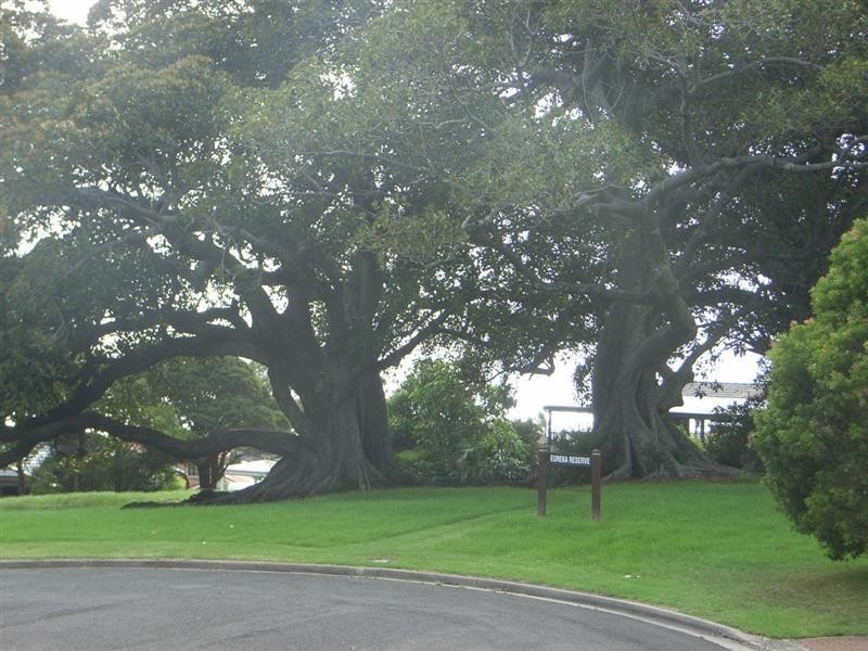 2 Moreton Bay Place, Kiama Downs NSW 2533