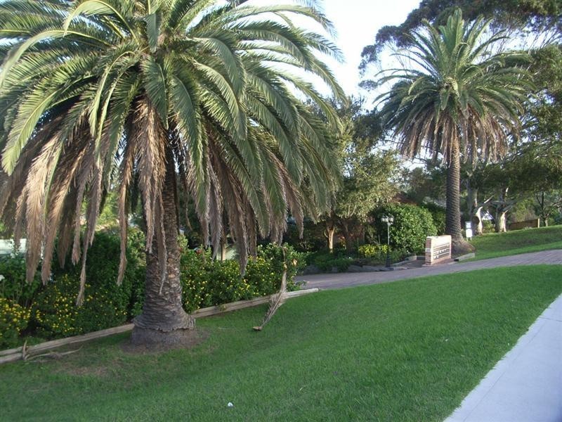 5/130 Shoalhaven Street, Kiama NSW 2533