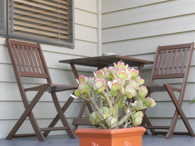 53 Barton Drive, Kiama Downs NSW 2533