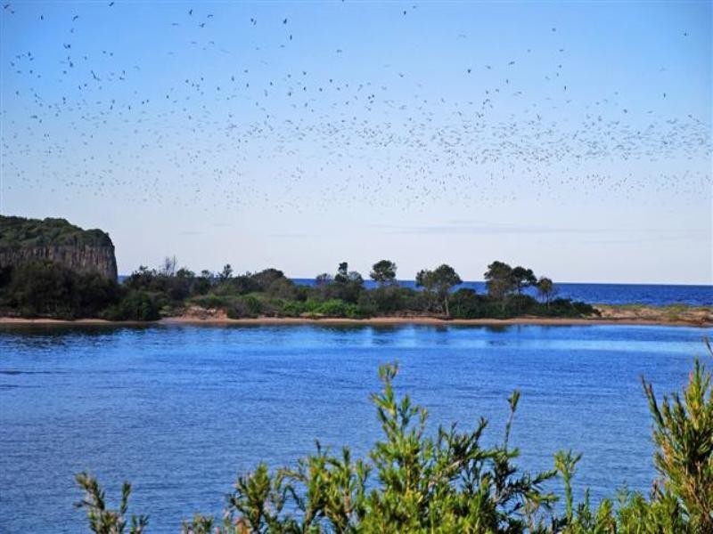 7/128 Charles Avenue, Minnamurra NSW 2533