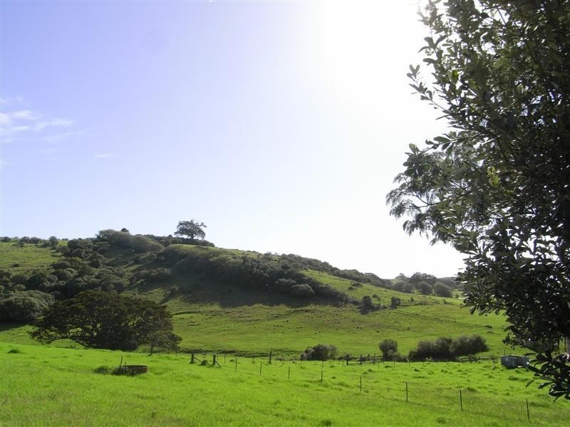 2/5 Evans Place, Kiama NSW 2533