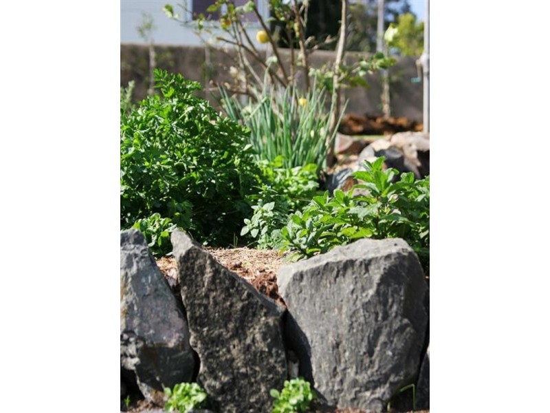 6 Devonshire Street, Kiama NSW 2533