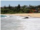 45 Bonaira Street, Kiama NSW 2533