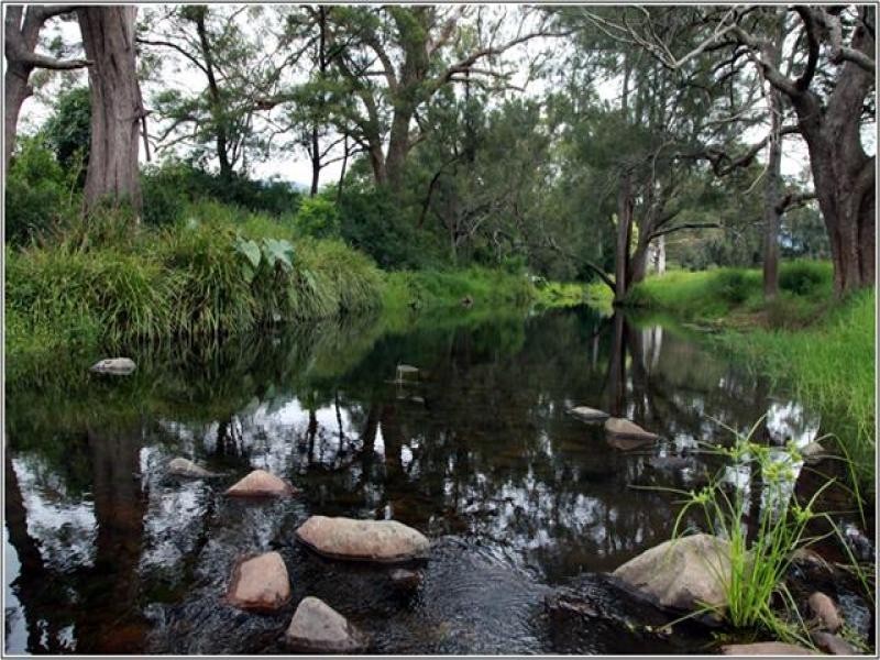 125 Minnamurra Falls Road, Jamberoo NSW 2533