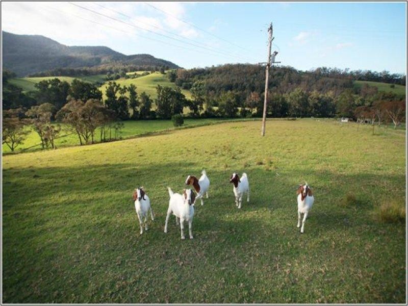 125 Minnamurra Falls Road, Jamberoo NSW 2533