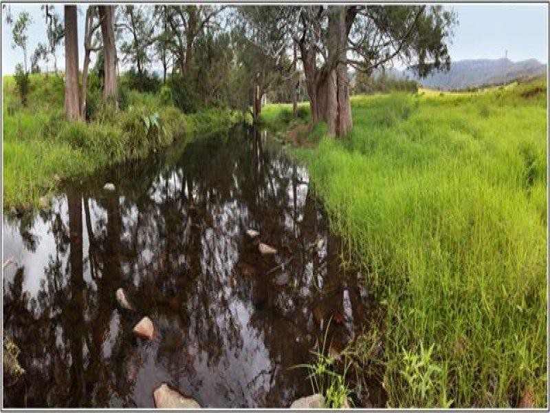 125 Minnamurra Falls Road, Jamberoo NSW 2533