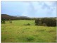 125 Minnamurra Falls Road, Jamberoo NSW 2533