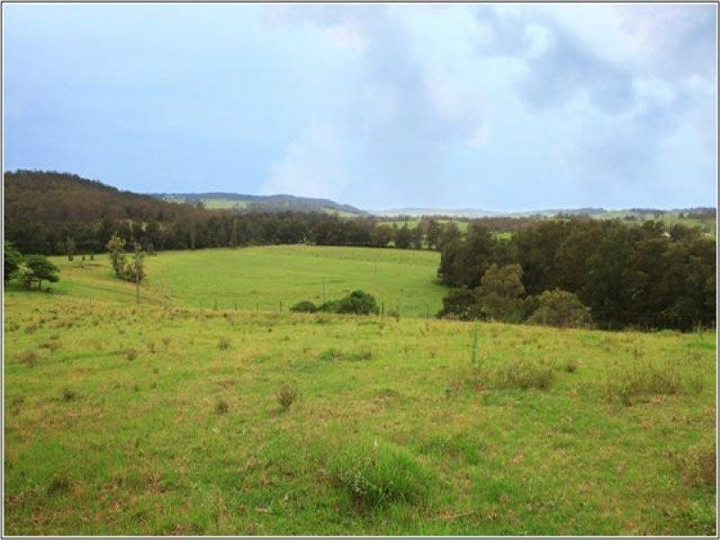 125 Minnamurra Falls Road, Jamberoo NSW 2533