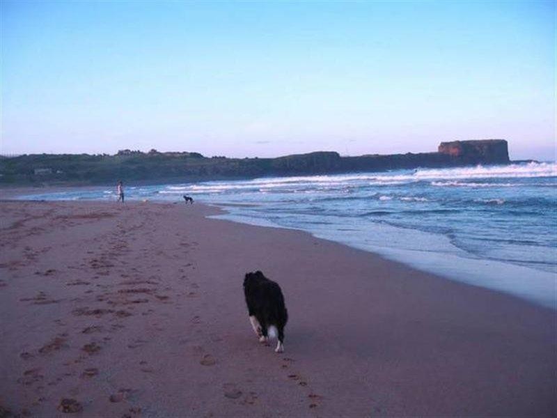96 Riverside Drive, Kiama Downs NSW 2533