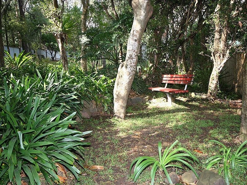 10 Bland Street, Kiama NSW 2533