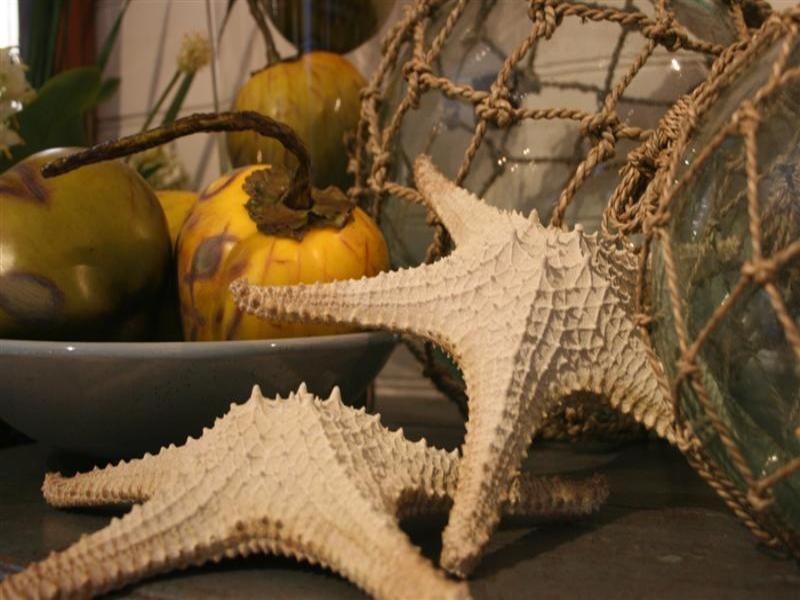 3/124 Terralong Street, Kiama NSW 2533