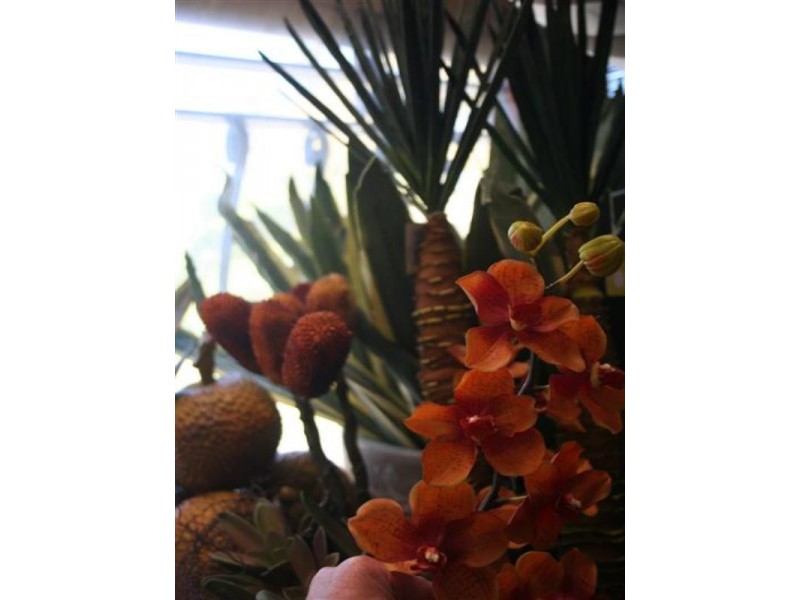 3/124 Terralong Street, Kiama NSW 2533