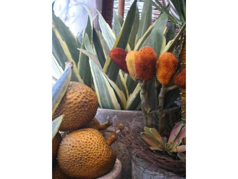 3/124 Terralong Street, Kiama NSW 2533