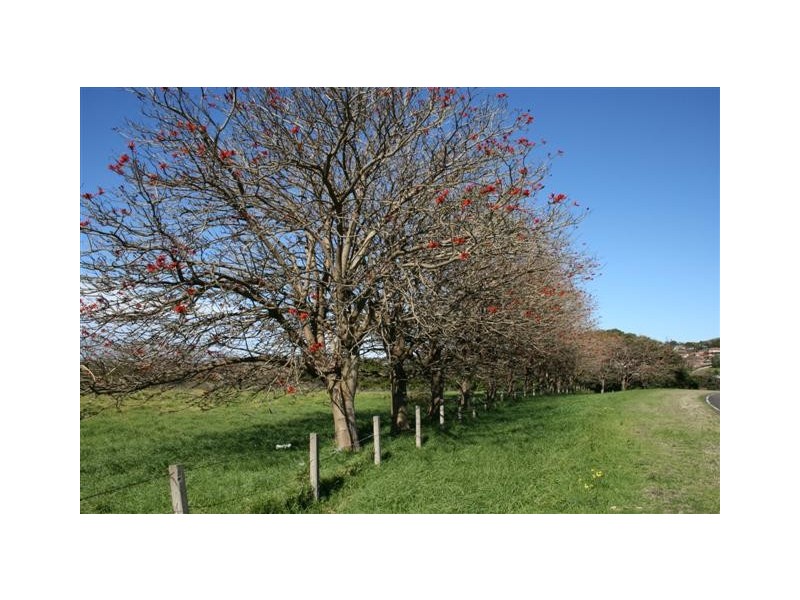 60 and 70 South Kiama Drive, Kiama NSW 2533