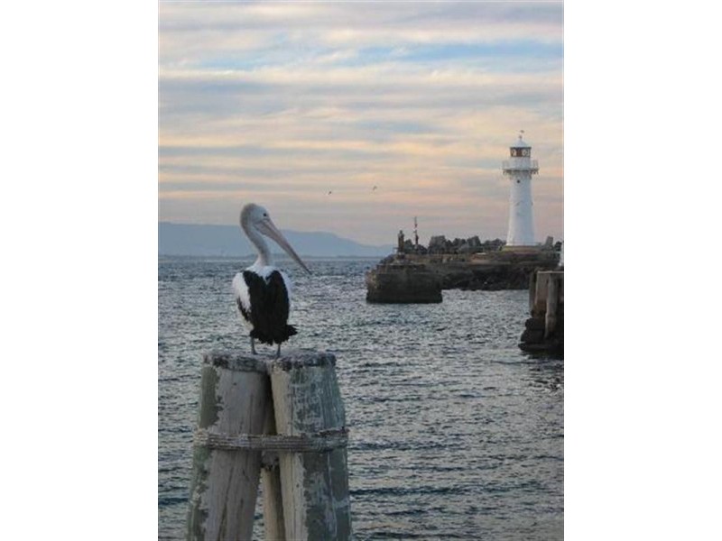 25/59-67 Corrimal Street, Wollongong NSW 2500