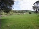 14 Stewart Place, Kiama NSW 2533