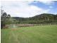 14 Stewart Place, Kiama NSW 2533
