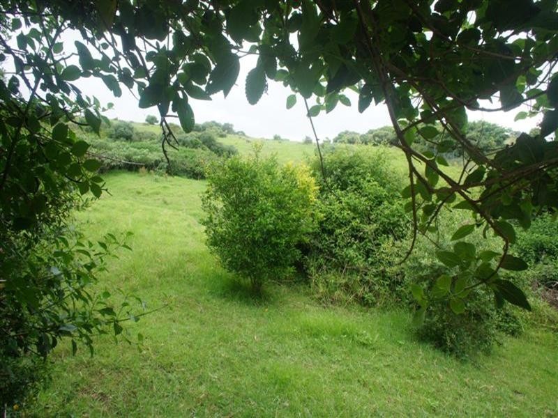 6 Hutchinson Street, Bombo NSW 2533