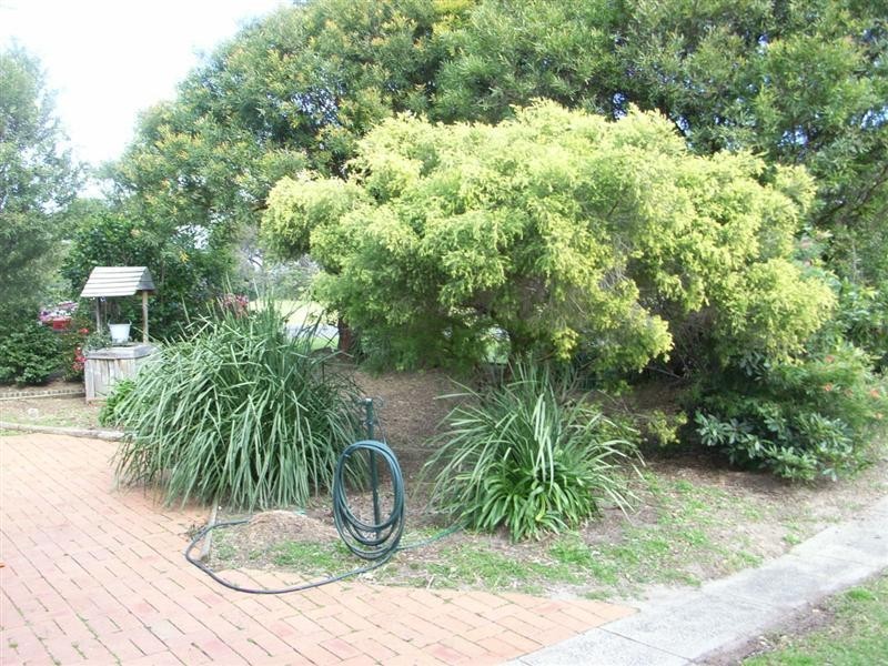 12 Wilson Street, Kiama NSW 2533