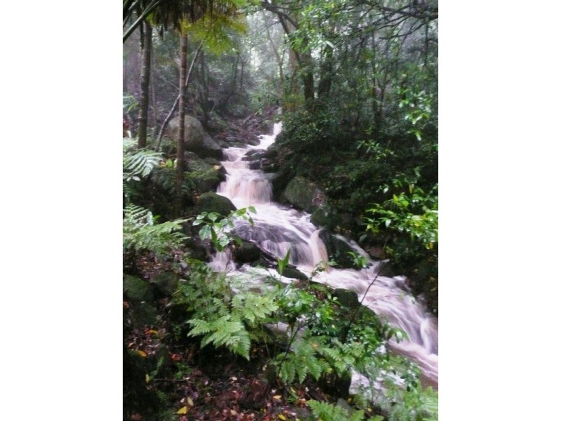 513 Jamberoo Mountain Road, Jamberoo NSW 2533