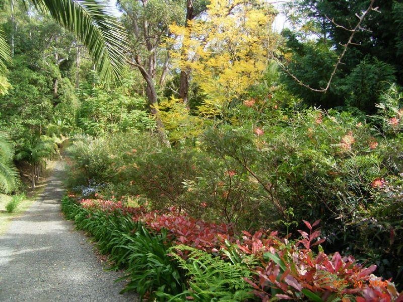 513 Jamberoo Mountain Road, Jamberoo NSW 2533