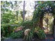 513 Jamberoo Mountain Road, Jamberoo NSW 2533