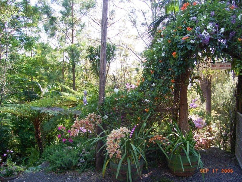 513 Jamberoo Mountain Road, Jamberoo NSW 2533