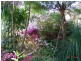 513 Jamberoo Mountain Road, Jamberoo NSW 2533