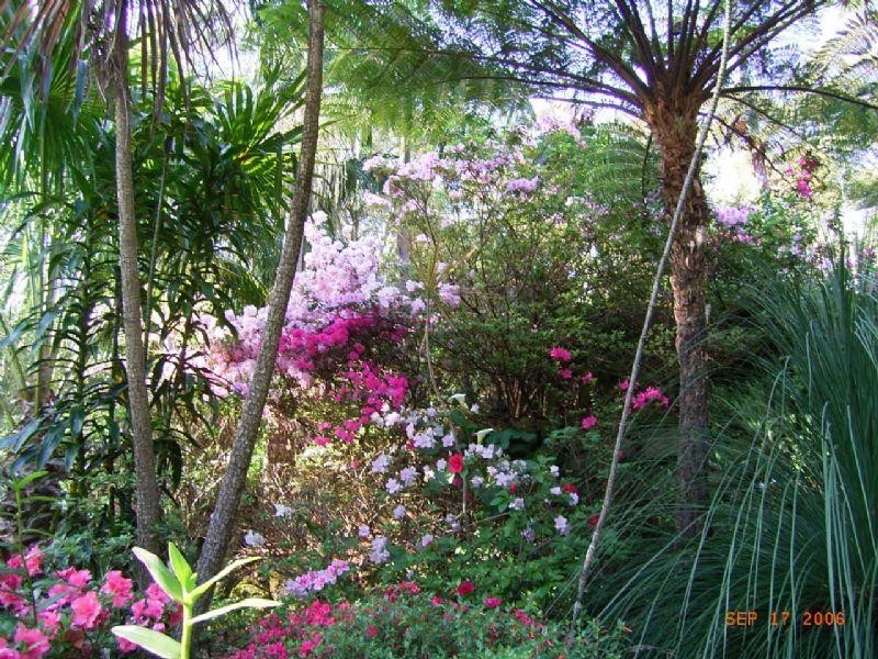 513 Jamberoo Mountain Road, Jamberoo NSW 2533