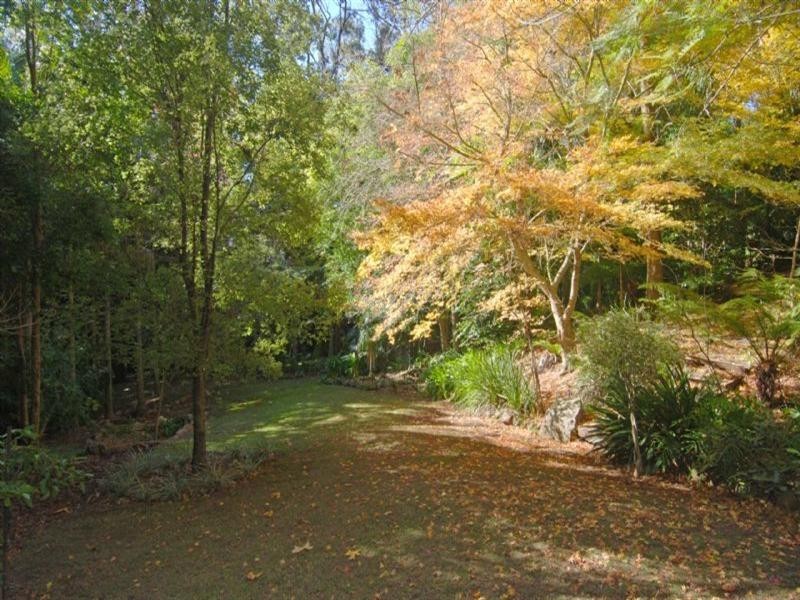 513 Jamberoo Mountain Road, Kiama NSW 2533