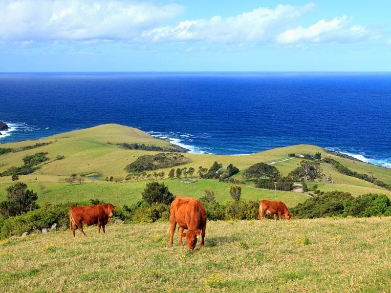 164 Princes Highway, Kiama NSW 2533