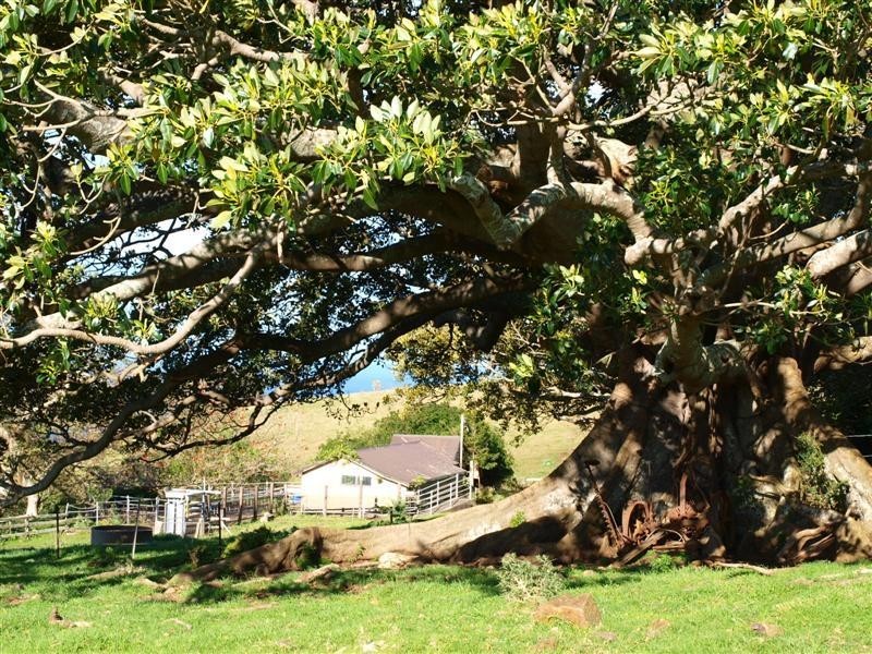 164 Princes Highway, Kiama NSW 2533