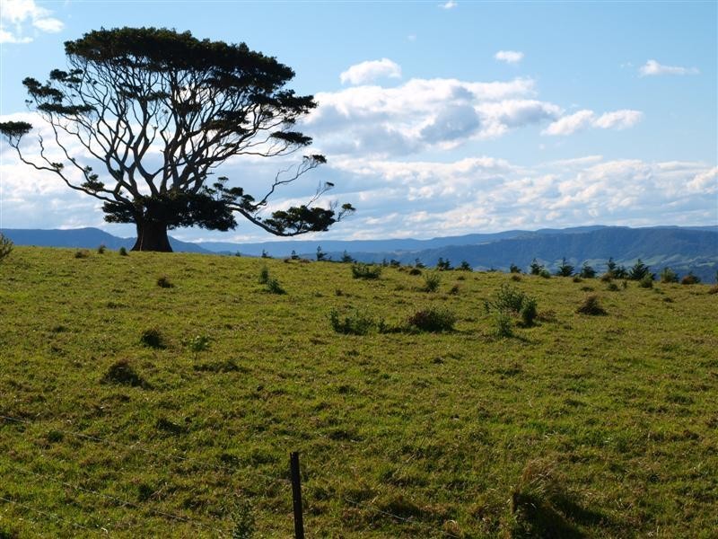 164 Princes Highway, Kiama NSW 2533