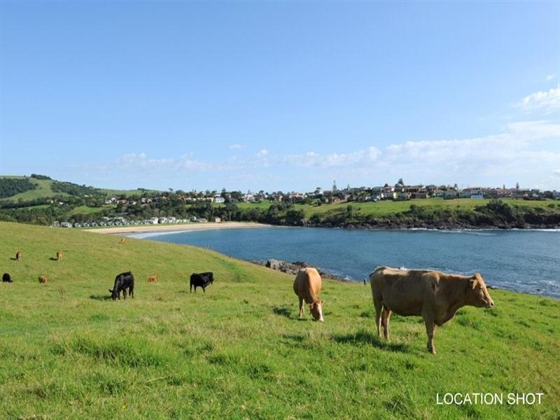 65 Attunga Avenue, Kiama Heights NSW 2533