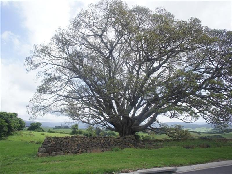 17 Greyleigh Drive, Kiama NSW 2533