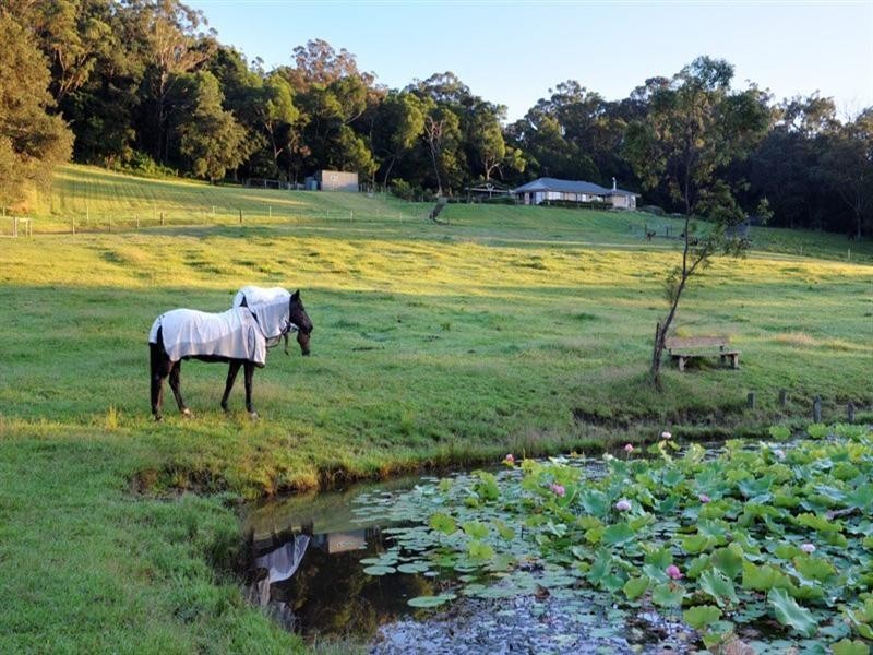 57 Byrnes Run, Jamberoo NSW 2533