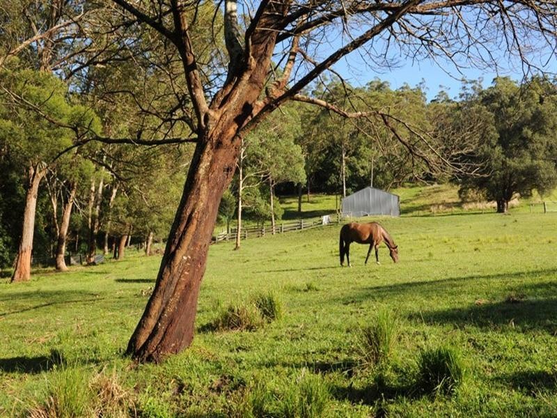 57 Byrnes Run, Jamberoo NSW 2533