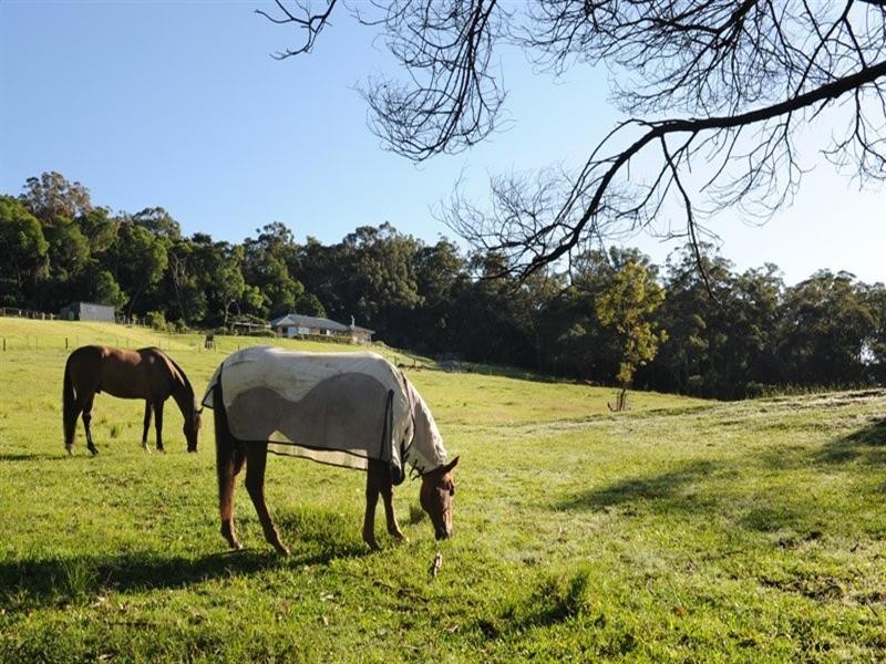 57 Byrnes Run, Jamberoo NSW 2533