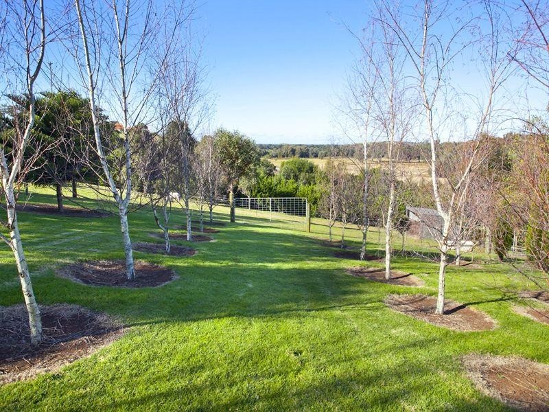 11 Allawah Place, Jamberoo NSW 2533