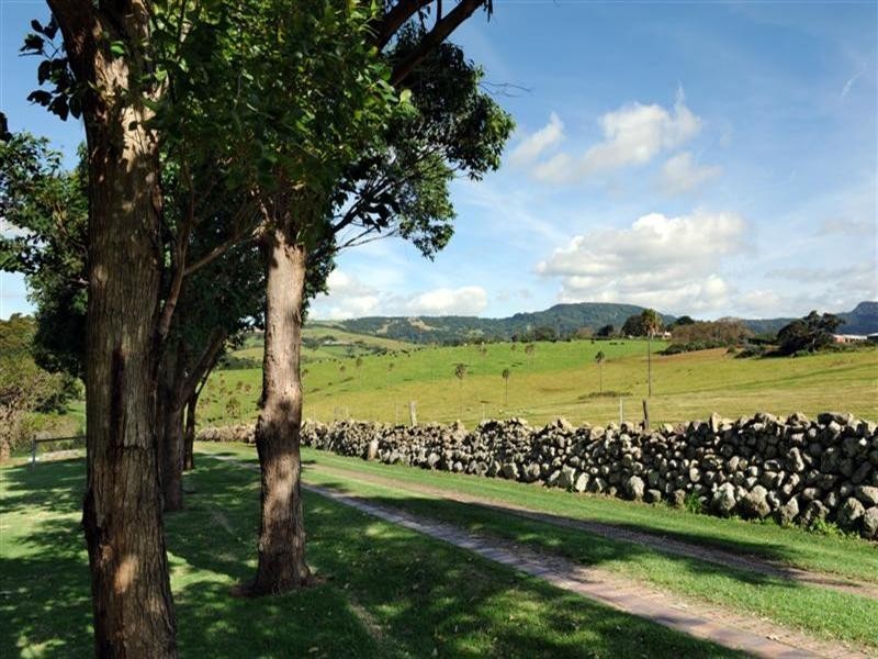 41 Jerrara Road, Kiama NSW 2533